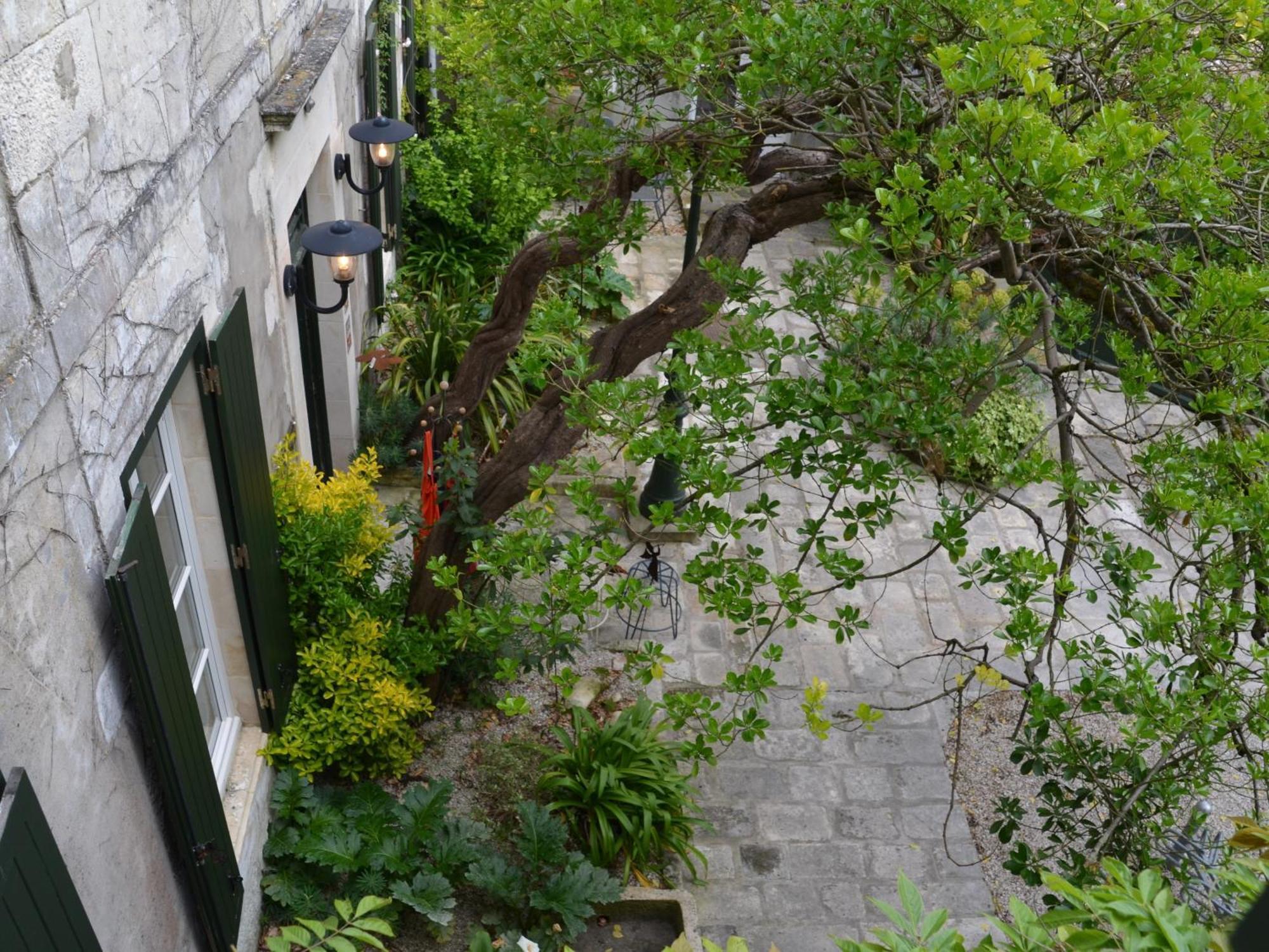 Le Mole Bed & Breakfast ลาฟร็อตต์ ห้อง รูปภาพ