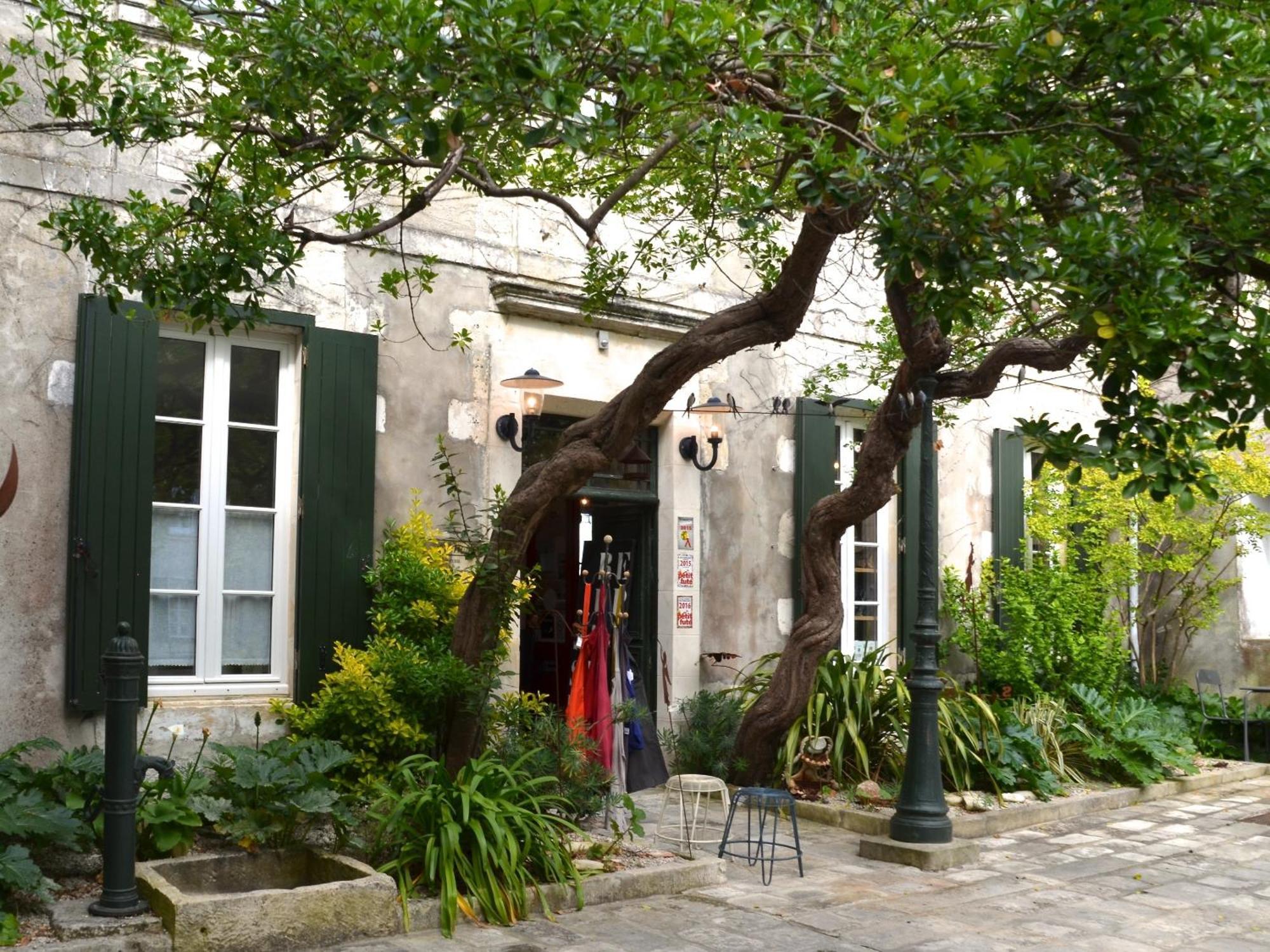 Le Mole Bed & Breakfast ลาฟร็อตต์ ภายนอก รูปภาพ
